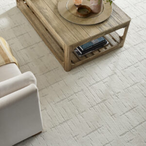 Stylish Carpet for living room | Nemeth Family Interiors