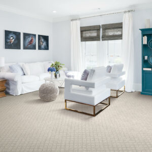 Trendy Carpet for living room | Nemeth Family Interiors