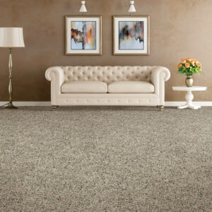 Soft carpet | Nemeth Family Interiors